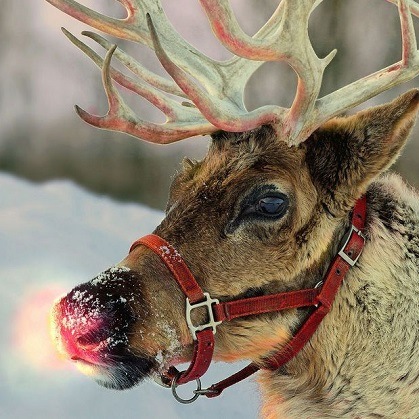 Rudolph is usually depicted as the ninth and youngest of Santa